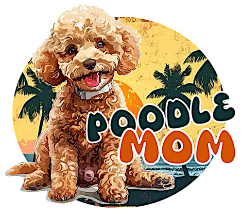Cute poodle mom die - cute, cut